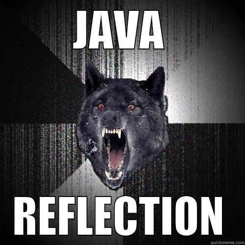 It's always a good idea - JAVA REFLECTION Insanity Wolf