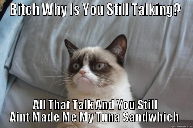 BITCH WHY IS YOU STILL TALKING? ALL THAT TALK AND YOU STILL AINT MADE ME MY TUNA SANDWICH  Grumpy Cat