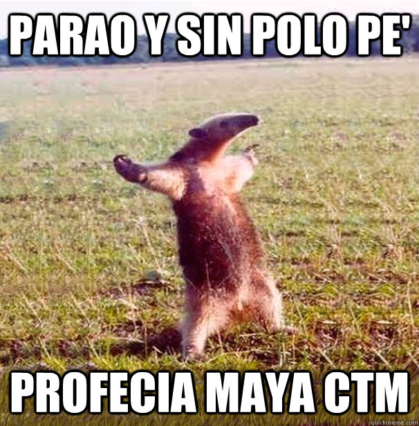 parao y sin polo pe' profecia maya ctm  