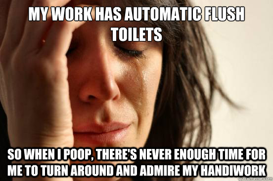 My work has automatic flush toilets so when i poop, there's never enough time for me to turn around and admire my handiwork  First World Problems