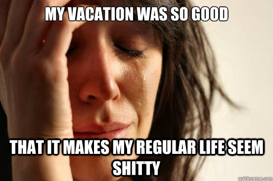 my vacation was so good that it makes my regular life seem shitty  First World Problems