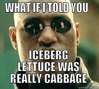 WHAT IF I TOLD YOU   ICEBERG LETTUCE WAS REALLY CABBAGE Matrix Morpheus