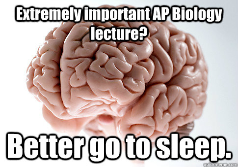 Extremely important AP Biology lecture? Better go to sleep.   Scumbag Brain