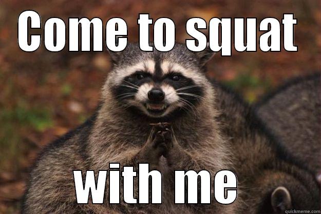COME TO SQUAT WITH ME Evil Plotting Raccoon