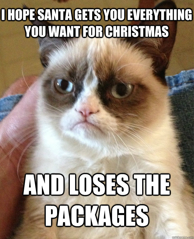 I hope santa gets you everything you want for Christmas and loses the packages  Grumpy Cat