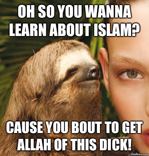 Oh so you wanna learn about Islam?  Cause you bout to get Allah of this dick!   rape sloth