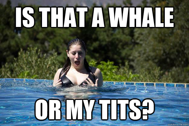 Is that a whale or my tits?  Big Tit Surprise
