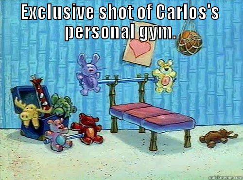 EXCLUSIVE SHOT OF CARLOS'S PERSONAL GYM.  Misc