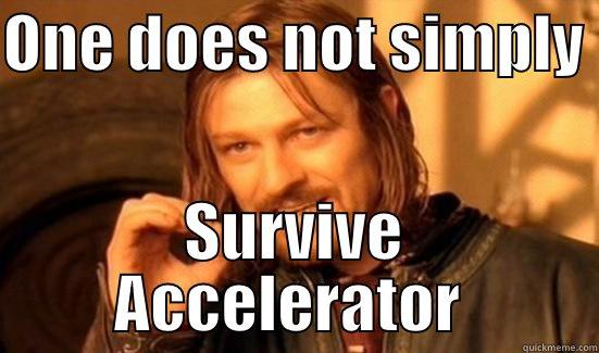 ONE DOES NOT SIMPLY  SURVIVE ACCELERATOR  Boromir
