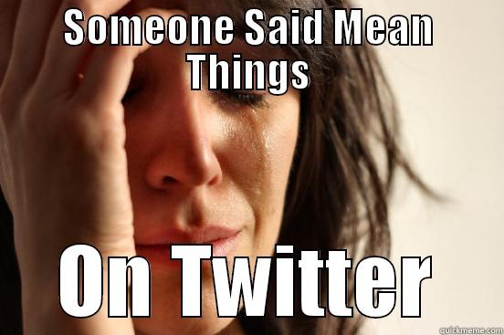 SOMEONE SAID MEAN THINGS ON TWITTER First World Problems