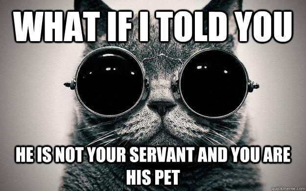 what if I told you he is not your servant and you are his pet  Morpheus Cat Facts