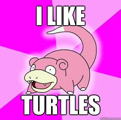 I like Turtles  Slowpoke
