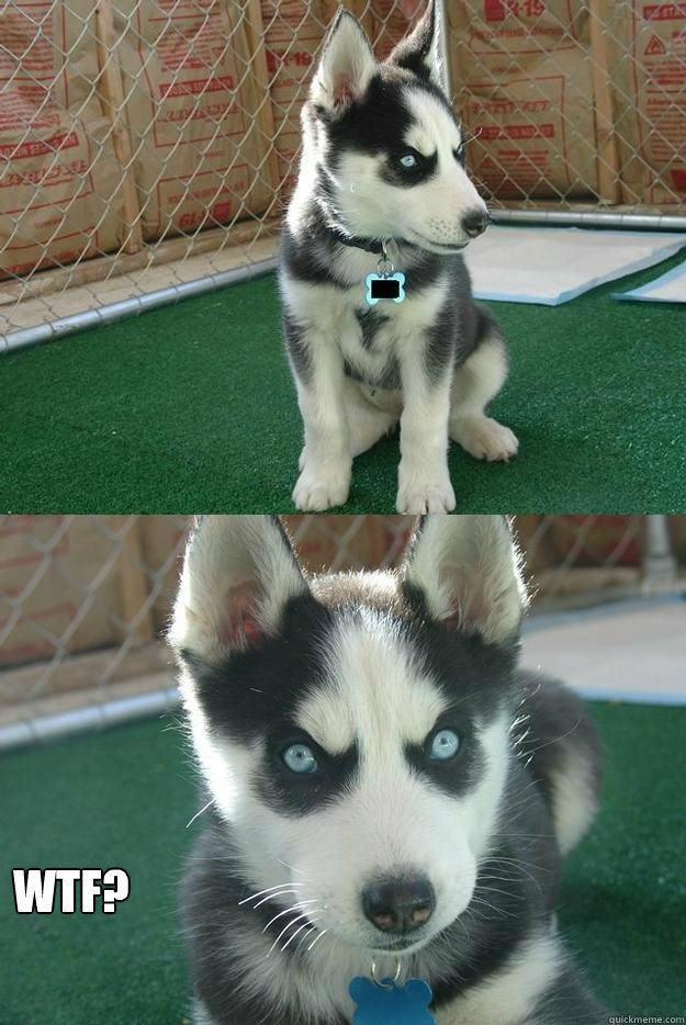  Wtf?  Insanity puppy
