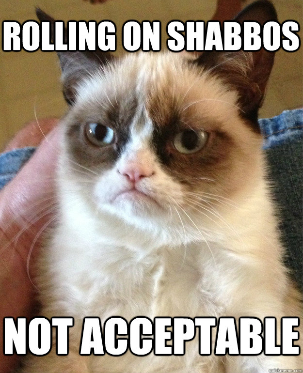 rolling on shabbos not acceptable  Tard cat shabbos