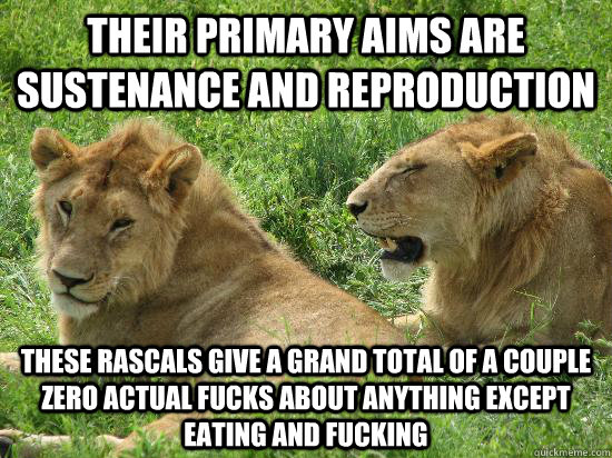 their primary aims are sustenance and reproduction these rascals give a grand total of a couple zero actual fucks about anything except eating and fucking - their primary aims are sustenance and reproduction these rascals give a grand total of a couple zero actual fucks about anything except eating and fucking  Animal Planet translated