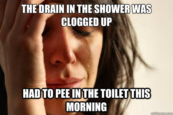The drain in the shower was clogged up had to pee in the toilet this morning  First World Problems