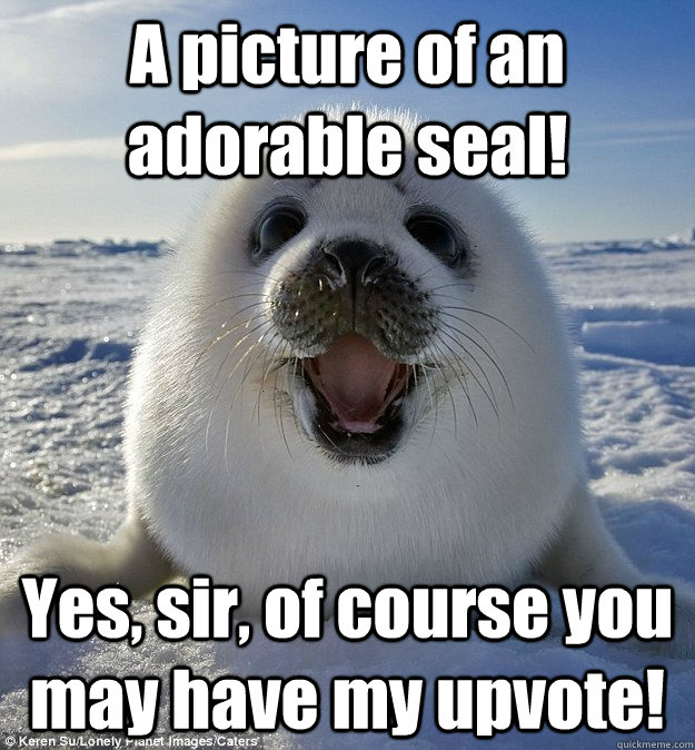 A picture of an adorable seal! Yes, sir, of course you may have my upvote!  Easily Pleased Seal