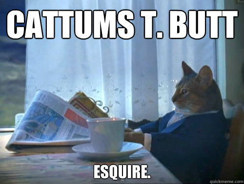 Cattums T. Butt Esquire.  The One Percent Cat
