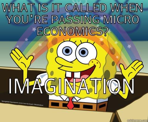 WHAT IS IT CALLED WHEN YOU'RE PASSING MICRO ECONOMICS? IMAGINATION  Spongebob rainbow