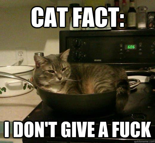 Dont fuck with this cat will Once and dont fuck with this cat interesting. Tell
