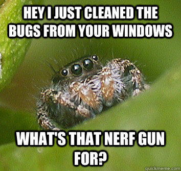 Hey I just cleaned the bugs from your windows What's that nerf gun for? - Hey I just cleaned the bugs from your windows What's that nerf gun for?  Misunderstood Spider