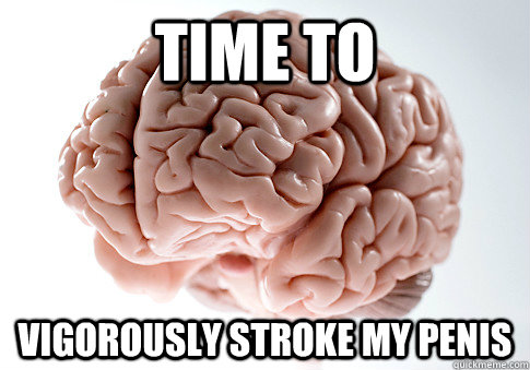 time to vigorously stroke my penis  Scumbag Brain