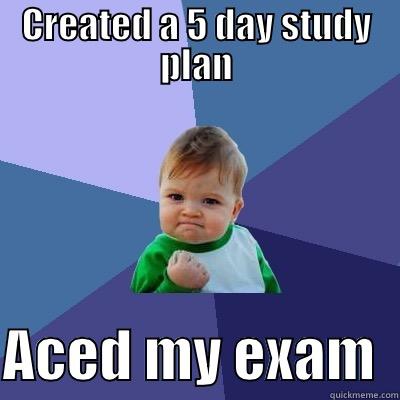 CREATED A 5 DAY STUDY PLAN  ACED MY EXAM  Success Kid