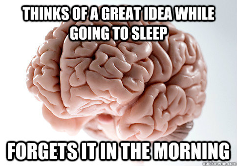 Thinks of a great idea while going to sleep forgets it in the morning   Scumbag Brain