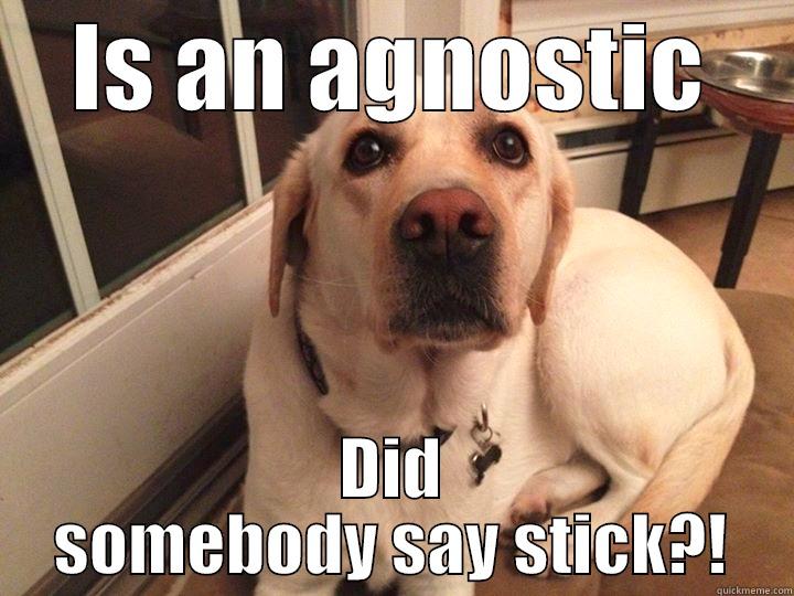 adsf dsd2 dd d d d - IS AN AGNOSTIC DID SOMEBODY SAY STICK?! Misc