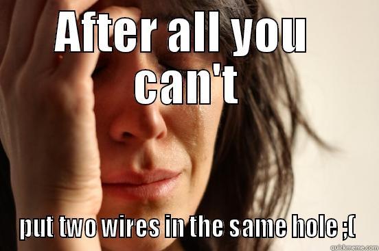 2 wires in the same hole - AFTER ALL YOU  CAN'T PUT TWO WIRES IN THE SAME HOLE ;( First World Problems