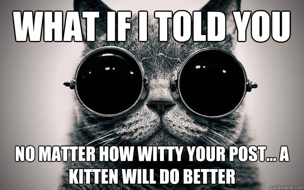 What if i told you no matter how witty your post... a kitten will do better  Morpheus Cat Facts