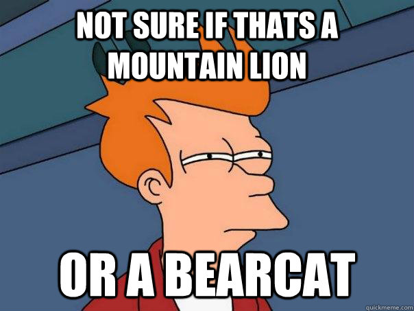 Not sure if thats a mountain lion or a bearcat  Futurama Fry