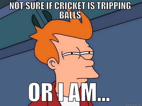 NOT SURE IF CRICKET IS TRIPPING BALLS OR I AM... Futurama Fry