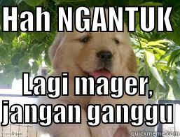 HAH NGANTUK  LAGI MAGER, JANGAN GANGGU Misc