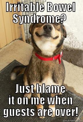 IRRITABLE BOWEL SYNDROME?  JUST BLAME IT ON ME WHEN GUESTS ARE OVER! Good Dog Greg