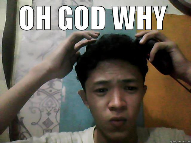 OH GOD WHY - OH GOD WHY  Misc