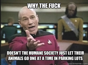 why the fuck doesn't the Humane Society just let their animals go one at a time in parking lots  Annoyed Picard