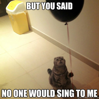 But you said no one would sing to me  Sad Birthday Cat