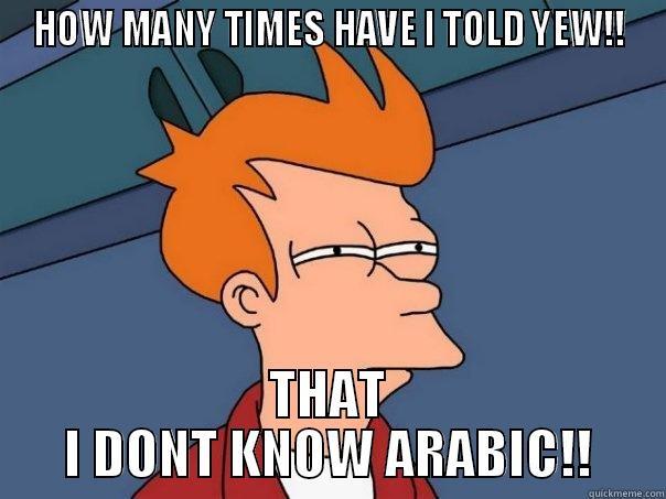 HOW MANY TIMES HAVE I TOLD YEW!! THAT I DONT KNOW ARABIC!! Futurama Fry
