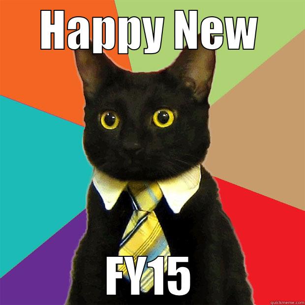 HAPPY NEW FY15 Business Cat