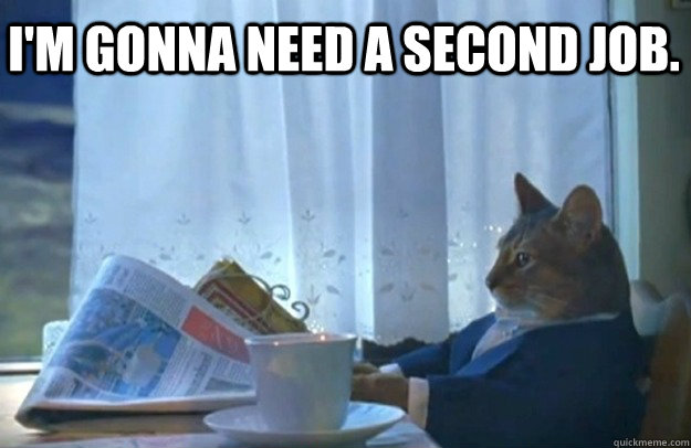  I'm gonna need a second job.    Sophisticated Cat