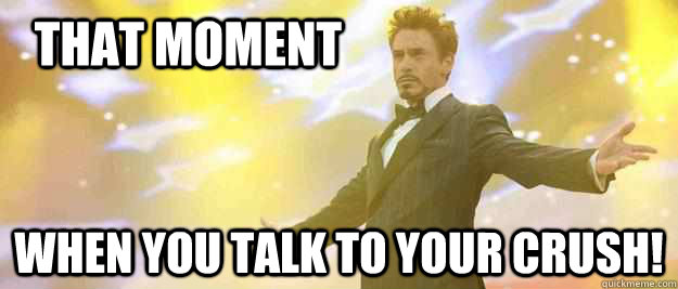 That moment when you talk to your crush!  Tony Stark