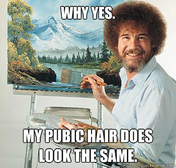 Why yes. My pubic hair does look the same.  BossRob