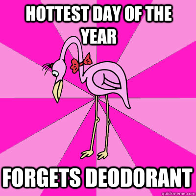 hottest day of the year forgets deodorant  First Date Flamingo