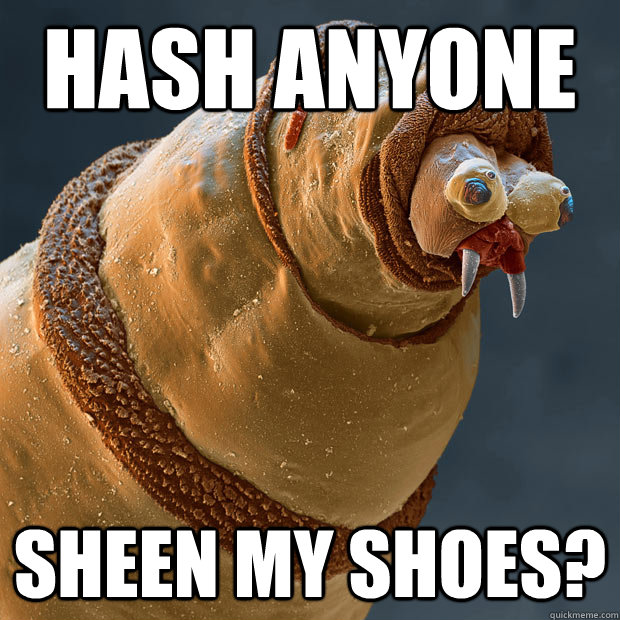hash anyone sheen my shoes?  Maggot