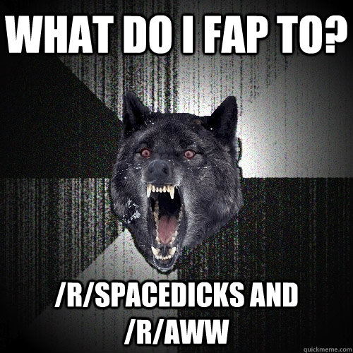 What do I fap to? /r/spacedicks and /r/aww   Insanity Wolf