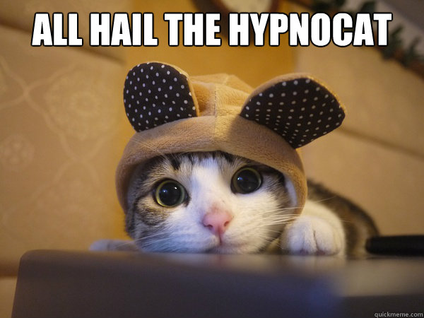 ALL HAIL THE HYPNOCAT - ALL HAIL THE HYPNOCAT  Misc