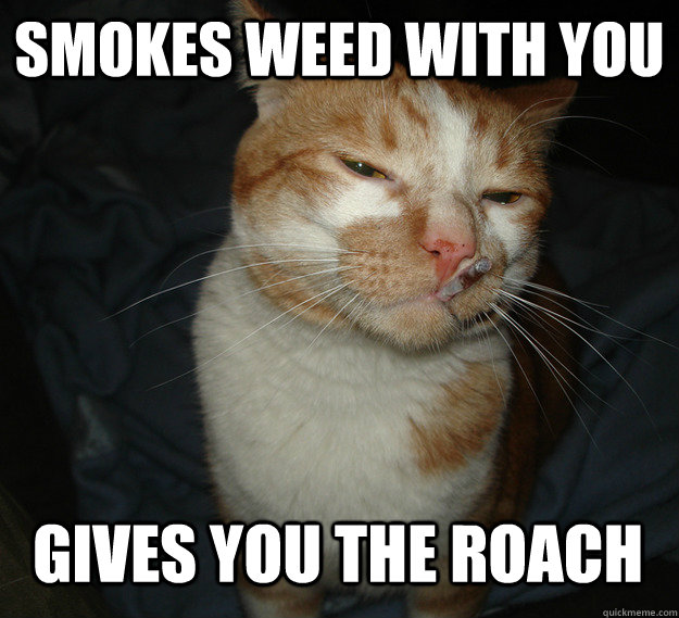 smokes weed with you gives you the roach   Cool Cat Craig