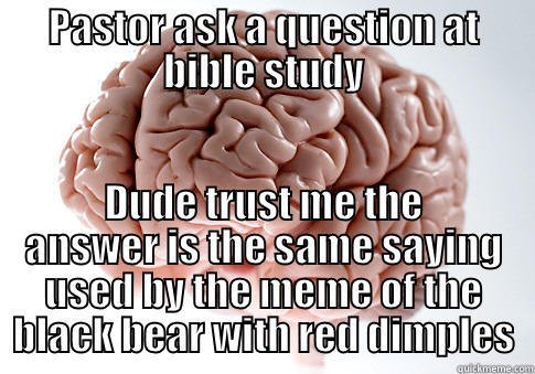 PASTOR ASK A QUESTION AT BIBLE STUDY DUDE TRUST ME THE ANSWER IS THE SAME SAYING USED BY THE MEME OF THE BLACK BEAR WITH RED DIMPLES Scumbag Brain