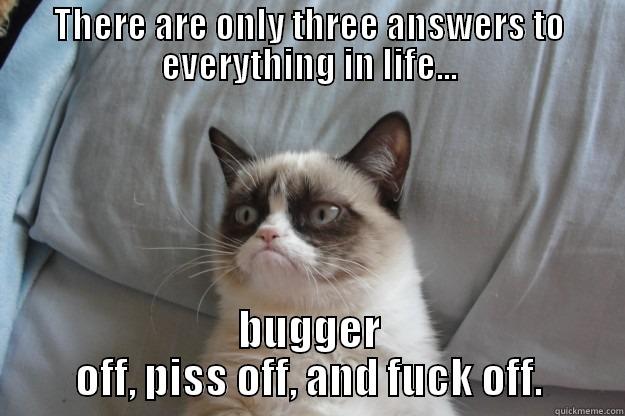 THERE ARE ONLY THREE ANSWERS TO EVERYTHING IN LIFE... BUGGER OFF, PISS OFF, AND FUCK OFF. Grumpy Cat